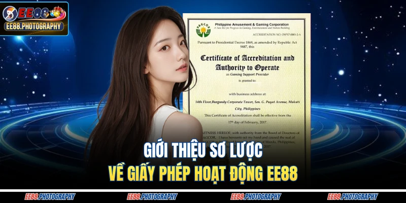 Giới thiệu sơ lược về giấy phép hoạt động EE88